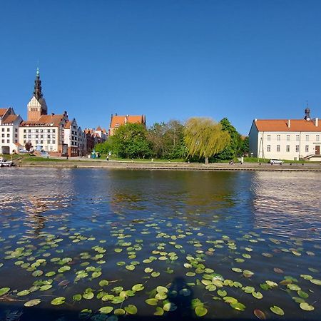 Stare Miasto Kwiaty Elbląg Zewnętrze zdjęcie