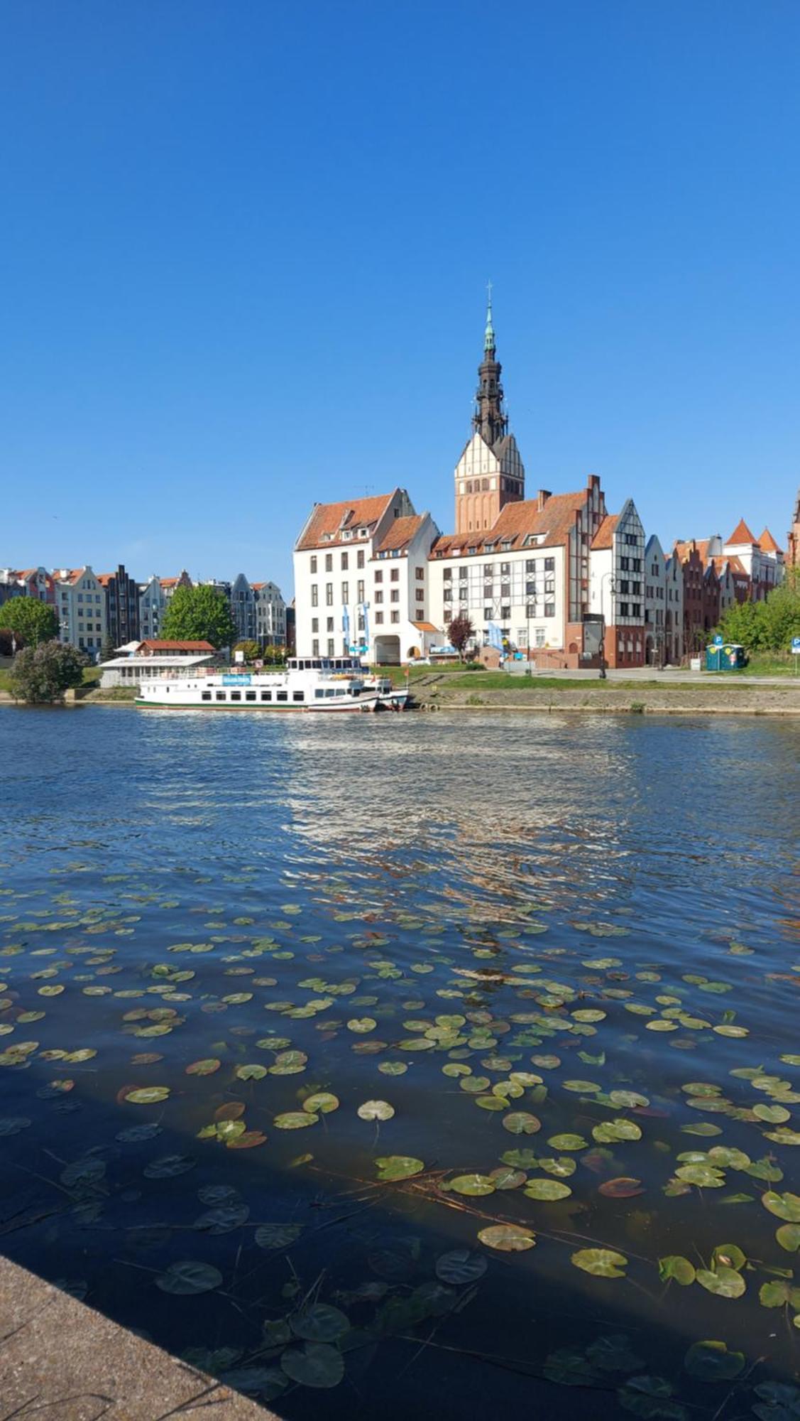 Stare Miasto Kwiaty Elbląg Zewnętrze zdjęcie